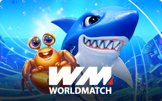 WM WORLDMATCH Rico24h