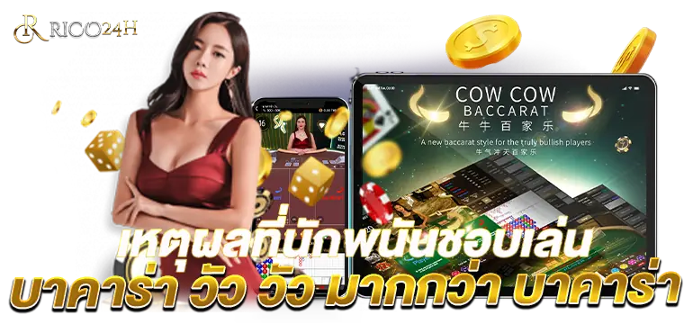 เหตุผลที่นักพนันชอบเล่น บาคาร่า วัววัว มากกว่า บาคาร่า RICO24h